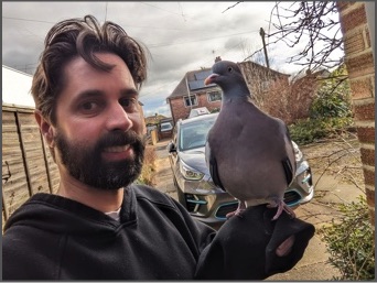 Rob Cooling with Heihei the pigeon.